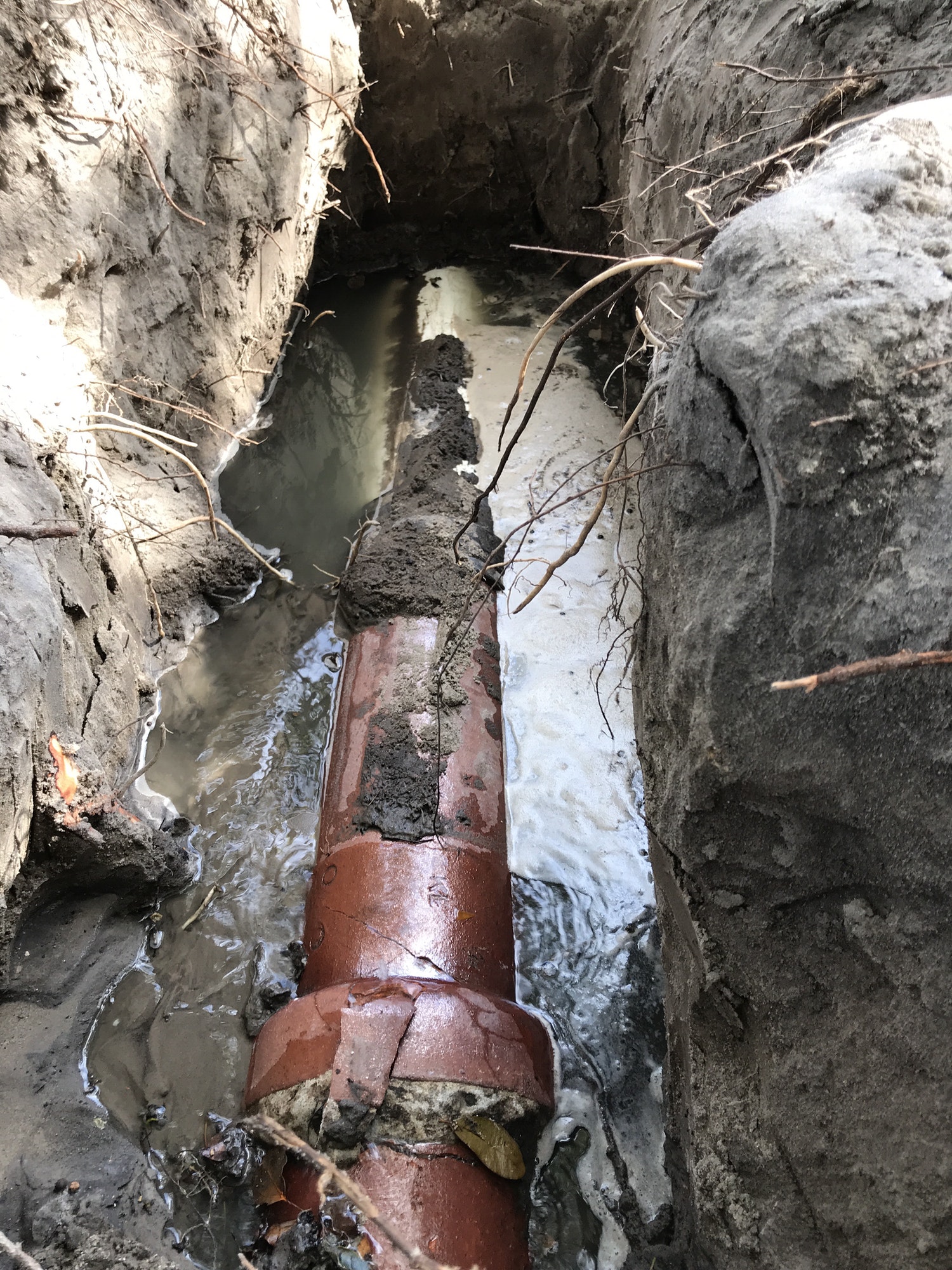 Major sewer leak. Old clay pipes that finally broke.